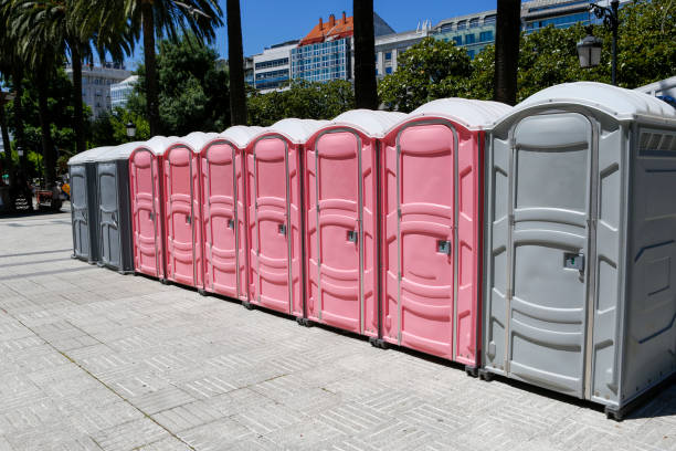 Types of Portable Toilets We Offer in Geraldine, AL